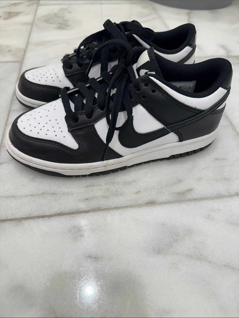 Nike Dunk Low Youth Shoes
